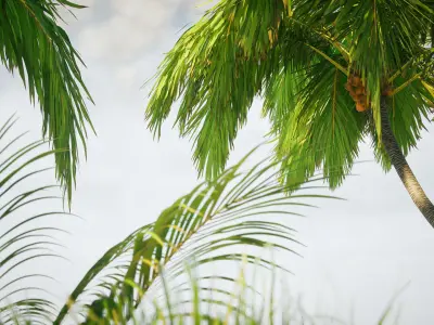 Tropical Island  pack Low-poly 3D model