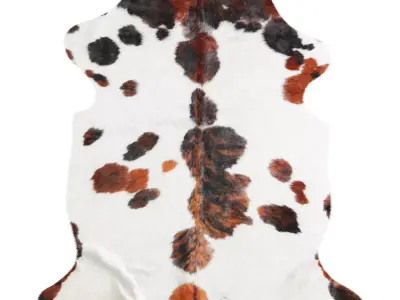 Tricolor Cowhide Rug A27287 3D model