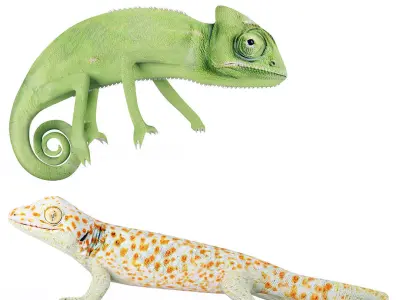 Reptile set two iguanas Low-poly 3D model