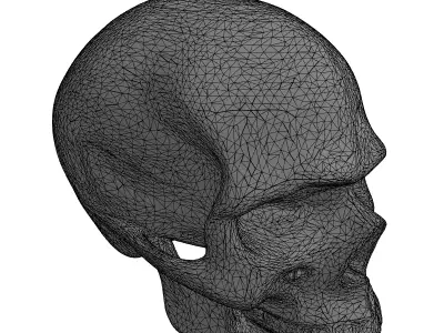 Stylized Metallic Skull 3D Model Low-poly 3D model