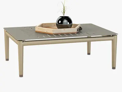 Conic Coffee Table with Centerpiece 3D model