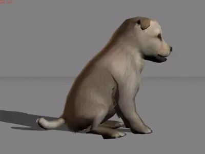 Puppy Dog Animal Low-poly 3D model