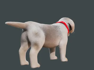 Cartoon Dog NoRig Low-poly 3D model