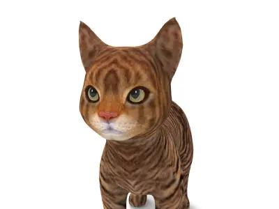 cute Cat model 3D pet Low-poly 3D model