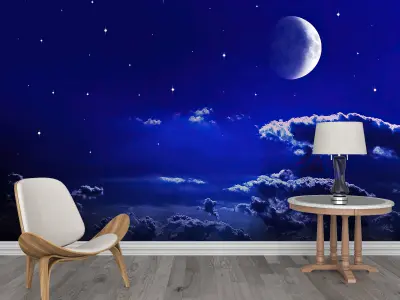 Photo Wallpaper No 33 3D model