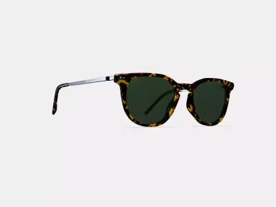 Kian Sunglasses in Black Oak Tortoise with Brushed Ink 3D model