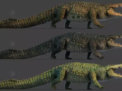 Realistic Crocodile - Alligator Low-poly 3D model