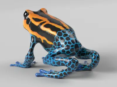 Poison Dart Frog 3D model