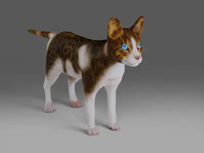 Calico Cat Rigged V3 in Blender  Low-poly 3D model