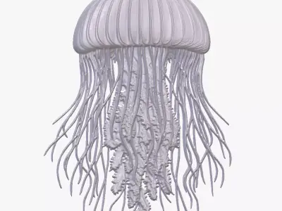 Jellyfish 8 basrelief for 3D printing 3D print model