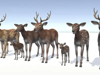 DEER FAMILY Low-poly 3D model