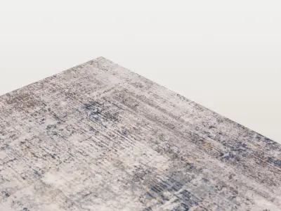 Low wool carpet 3D model