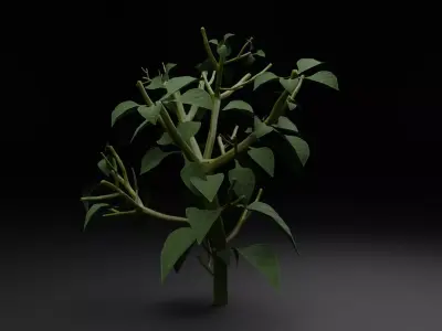 Bell Pepper Plant Low-poly 3D model