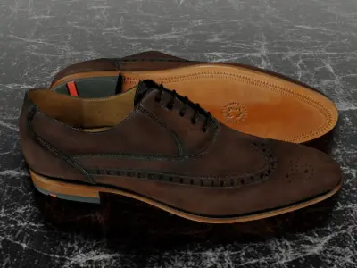 LLOYD CLASSIC 3D SHOES - BROWN 3D model