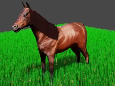 horse male 3D model
