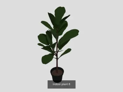 Plants pack - 4 3D Model Collection