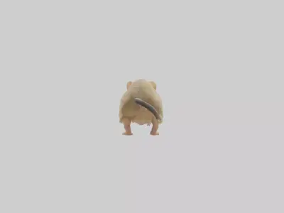 Mongolian Gerbil running model 3D model