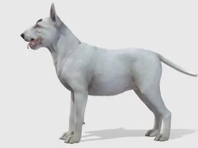 Dog - Bull Terrier Low-poly 3D model