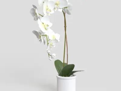 Threshold Small Potted Orchid  PBR 3D model