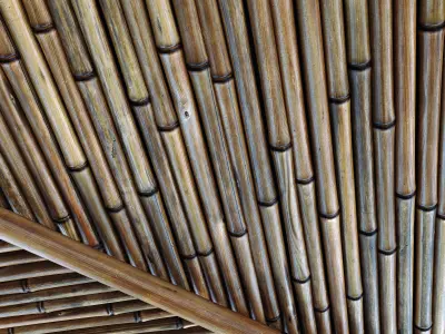 Ceiling bamboo branch low n5 3D model