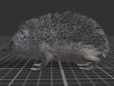 Hedgehog Low-poly 3D model