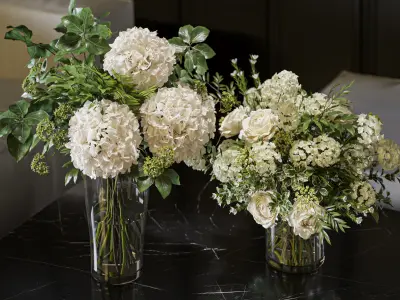 Flower Set 060 Hydrangea Rose  3D model