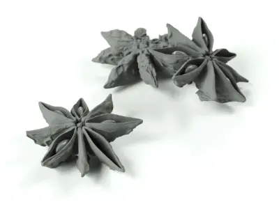 POLYPASTA - Star anice 01 3D model