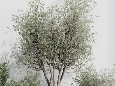 Indoor plant set 362 concrete vase plant tree shrub Low-poly 3D model