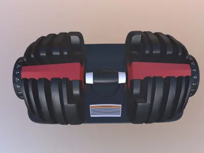 Adjustable Dumbbell 3D model
