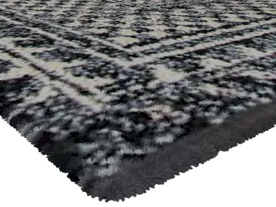 Rug Set 1555 3D model