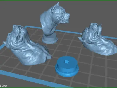 American bully head version 1 3D print model