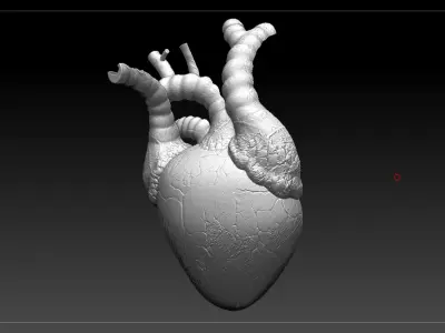 Heart Sliced STL 3D print model