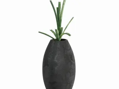 Attitude exotic vase  Low-poly 3D model