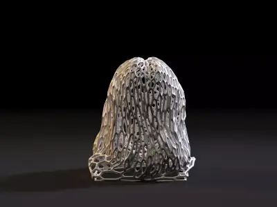 Severus Snape Voronoi 3D print model