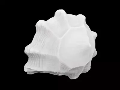 Spiral Seashell 3D print model 3D print model