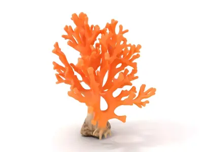 Orange Coral Sculpture model pack Low-poly 3D model