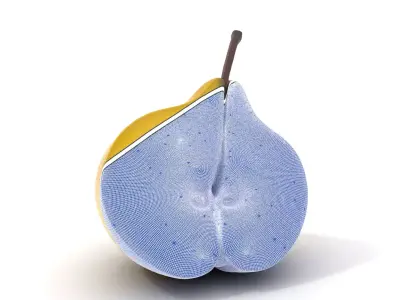 Golden Pear Slice model pack Low-poly 3D model