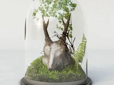 Skull in Flask 3D model