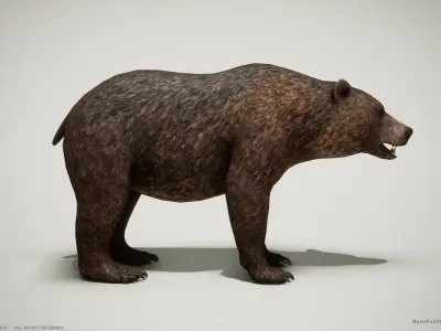 Brown Bear game ready PBR  Low-poly 3D model