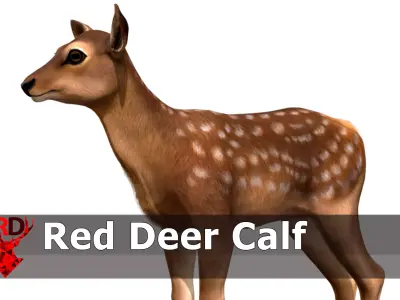 Red Deer Calf Low-poly 3D model