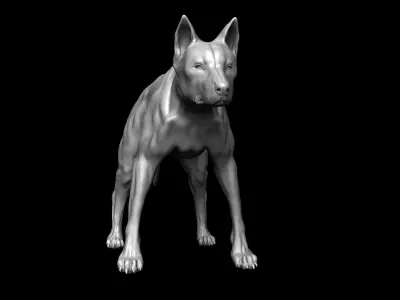 Dog Model 3D model buy