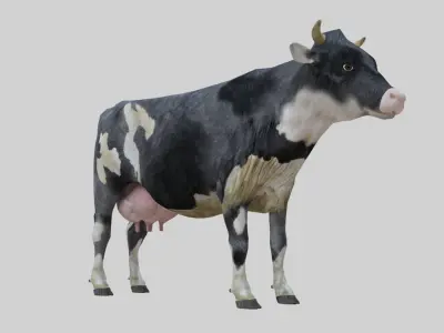 3D model Low Poly Holstein Cow Unwapped 4K Low-poly 3D model