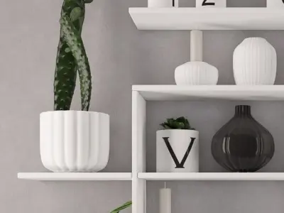 Shelving decoration  3D model