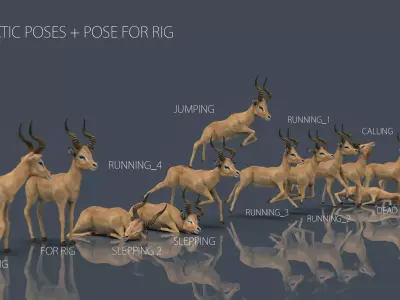 IMPALA POSES Low-poly 3D model