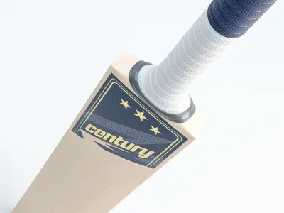 Cricket  3D model
