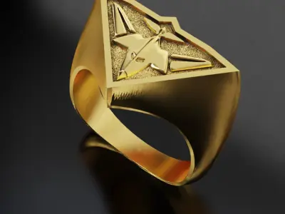 Essendon Australia Football Fans 3D print model 3D print model