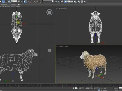 3D Black Sheep Model  Low-poly 3D model