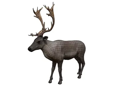 Reindeer  Low-poly 3D model