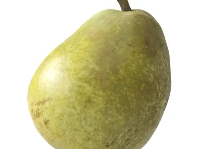 Kieffer Pears 3D Model Collection