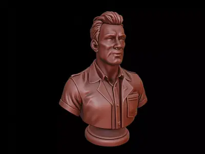 Software Engineer Bust 3D print model